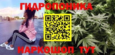 jwh Новокубанск