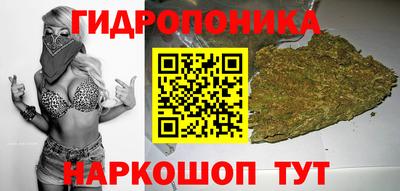 прущие крисы Новодвинск