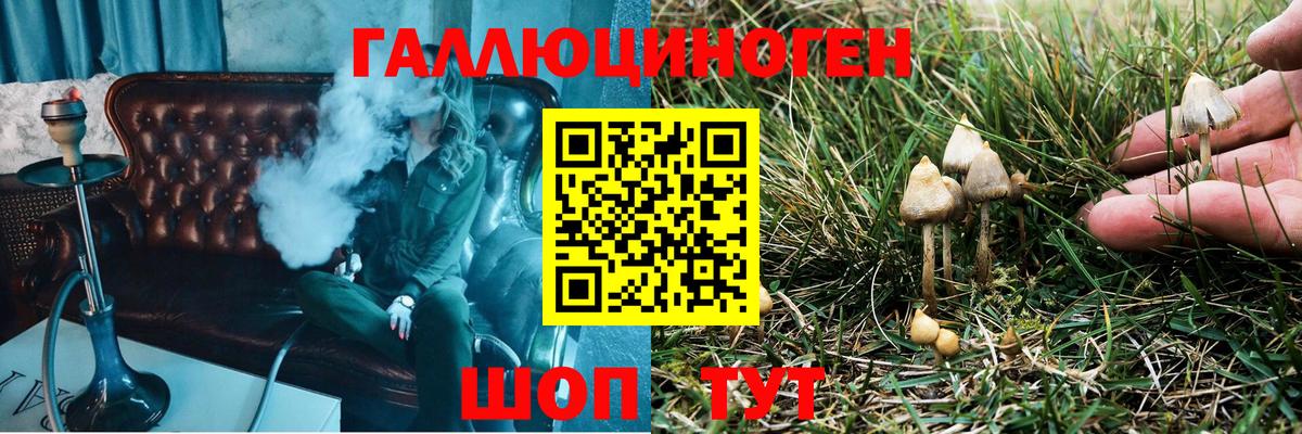 Галлюциногенные грибы мухоморы Пенза